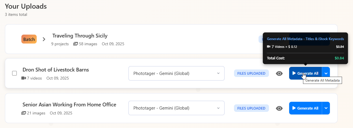 Generate metadata interface showing batch processing